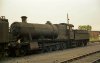 3842.  Southall Shed.  18 July 1965.  FINAL.  Personal Collection.  Photo by Brian Dale.jpg