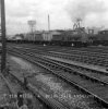 img348 TM 65473 Colchester 1954 J15 on trip freight to Hythe Docks. Final - Copyright Copy.jpg