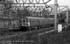 img530 TM Trains at Lineside Willesden Old Oak Common 198- copyright Final.jpg