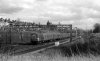 img531 TM Trains at Lineside Willesden Old Oak Common 198- copyright Final.jpg