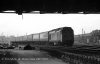 img533 TM Trains at Lineside Willesden Old Oak Common 198- copyright Final.jpg