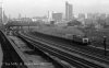 img534 TM Trains at Lineside Willesden Old Oak Common 198- copyright Final.jpg