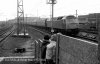 img633 TM Lineside Hornsey 1977 copyright Final.jpg