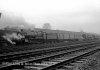 img851 TM Old Oak Common 1964 Remask copyright Final.jpg