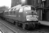 D809_Paddington 1963.jpg