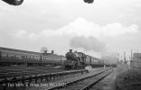 img920 TM Old Oak Common Lineside April 63 copyright Final.jpg