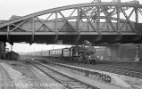 img923 TM Old Oak Common Lineside April 63 copyright Final.jpg