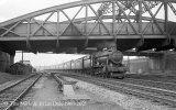 img925 TM Old Oak Common Lineside April 63 copyright Final.jpg