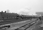 img938 TM Old Oak Lineside May 63 Neg Strip 100 Remask copyright Final.jpg