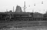 img960 TM Willesden Loco May 63 copyright Final.jpg