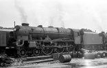 img989 TM Willesden Loco Shed May 63 Neg Strip H copyright Final.jpg