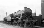 img991 TM Willesden Loco Shed May 63 Neg Strip H copyright Final.jpg