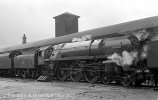 img993 TM Willesden Loco Shed May 63 Neg Strip H copyright Final.jpg