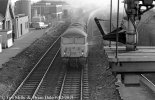 img1206 TM Shirebrook Station 1982 copyright Final.jpg