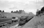 img1250 TM 44766 Up van train Bushey Troughs 15 Jul 60 Neg Set 21 copyright Final.jpg