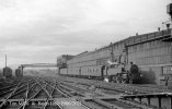 img1268 TM 80138 Brighton Stn Local from Tunbridge Wells 12 Jul 60 Neg Set 21 copyright Final.jpg