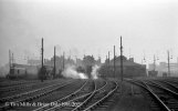 img1294 TM Old Oak & Willesden Part on Euston Line Willesden Long Shed 18 Feb 61Neg Folder 23 ...jpg