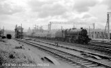 img1383  45081 Westbound Freight Motherwell 13 Sept 61 TM Neg Strip 41 copyright Final.jpg