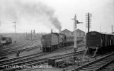 img1414 TM 40602 From Train Ayr Region Nr Kilmarnock 14 Sept 61 Neg Strip 43 copyright Final.jpg