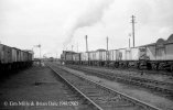 img1416 TM 57614 Coal Train in Sidings Ayr Yards 14 Sept 61 Neg Strip 43 copyright Final.jpg