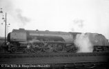 img1425 TM Neg Strip 45 46225 on shed Willesden 1 Jan 62 Probably 24 Feb 62 copyright Final.jpg