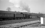 img1487 TM Neg Strip 48 1007 up parcels Old Oak Lineside 25 Mar 62 copyright Final.jpg