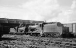 img1604 TM Ulster Rail Scenes Irish 1 1958 Unknown UG No 48 nearest and AL 0-6-0s On shed Adel...jpg