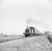 img1614 TM P Class Bluebell Train Bluebell Railway Prob 1964 copyright Final.jpg