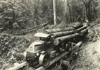 Log railway.jpeg