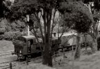 Morning coal train laving B&W.jpg