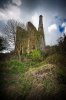 nevard_130418_polgooth_DSC_5634_WEB.jpg