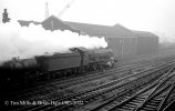 img1857 TM 4919 up freight Southall 9 Feb 63 Neg Strip 89 copyright Final.jpg