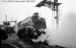 img1940 TM Neg Strip 85 60022 Salisbury taking water West Countryman 24 Feb 63 copyright Final.jpg