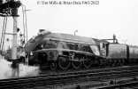 img1941 TM Neg Strip 85 60022 Salisbury taking water West Countryman 24 Feb 63 copyright Final.jpg