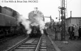 img1973 TM 60022 West Countryman Tiverton 24 Feb 63 76017 on left Neg Strip 85A copyright Final.jpg