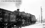 img1996 TM Neg Strip 84 42981 freight Wagons Willesden Feb 63 copyright Final.jpg