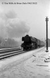 img2048 TM Neg Strip 82 60077 up express Hornsey 29 - 31 Dec 62 copyright Final.jpg