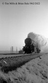 img2058 TM Neg Strip 80 90253 down freight Potters Bar 22 Dec 62 Remask copyright Final.jpg