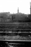 img351 TM 2 of 2 68226 Colchester 1954 Last J 70 tram engine used to shunt at Hythe Docks.  68...jpg