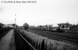 img2190 TM Neg Strip 59 42097 up freight Nth Wembley 23 May 62 copyright Final.jpg