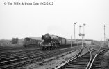 img2233 TM Neg strip 57 60059 6.26 Hull Wood Green Lineside 3 May 62 copyright Final.jpg