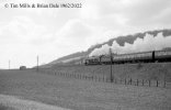 img2282 TM Neg Strip 53 6027 up Birkenhead Nr Saunderton 14 Apr 62 copyright Final.jpg