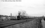 img2312 TM Neg Strip 51 46233 down Merseyside Express Nth Wembley 1 Apr 62 copyright Final.jpg