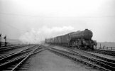 img2379 TM Neg Strip 39 60836 freight passing Thornton MPD southbound 11 Sep 61 Final.jpg