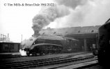 img2417 TM Neg Strip 38 60009 on shed Haymarket 10 Sept 61 copyright Final.jpg