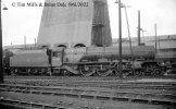 img2486 TM Neg Strip 36 46208 on shed  Willesden 5 Aug 61 copyright Final.jpg