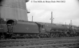 img2488 TM Neg Strip 36 46208 on shed  Willesden 5 Aug 61 copyright Final.jpg