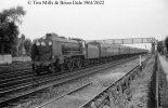 img2519 TM Neg Strip 35 30925 up Lymington Pier Wimbledon 29 Jul 61 copyright Final.jpg