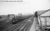 img2527 TM Neg Strip 35 73083 up express Wimbledon 29 Jul 61 copyright Final.jpg