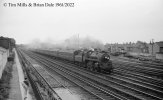 img2530 TM Neg Strip 35 76014 down empty stock Wimbledon 29 Jul 61 copyright Final.jpg